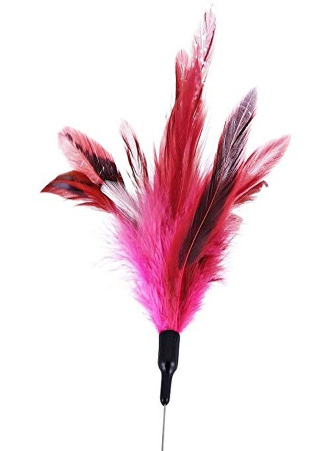 The DDS Store Cat Teaser Feather Stick Toy Interactive Cat Toy Teaser with Feather (Color May Vary) - Image 3
